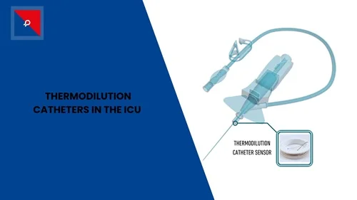 Thermodilution Catheters 